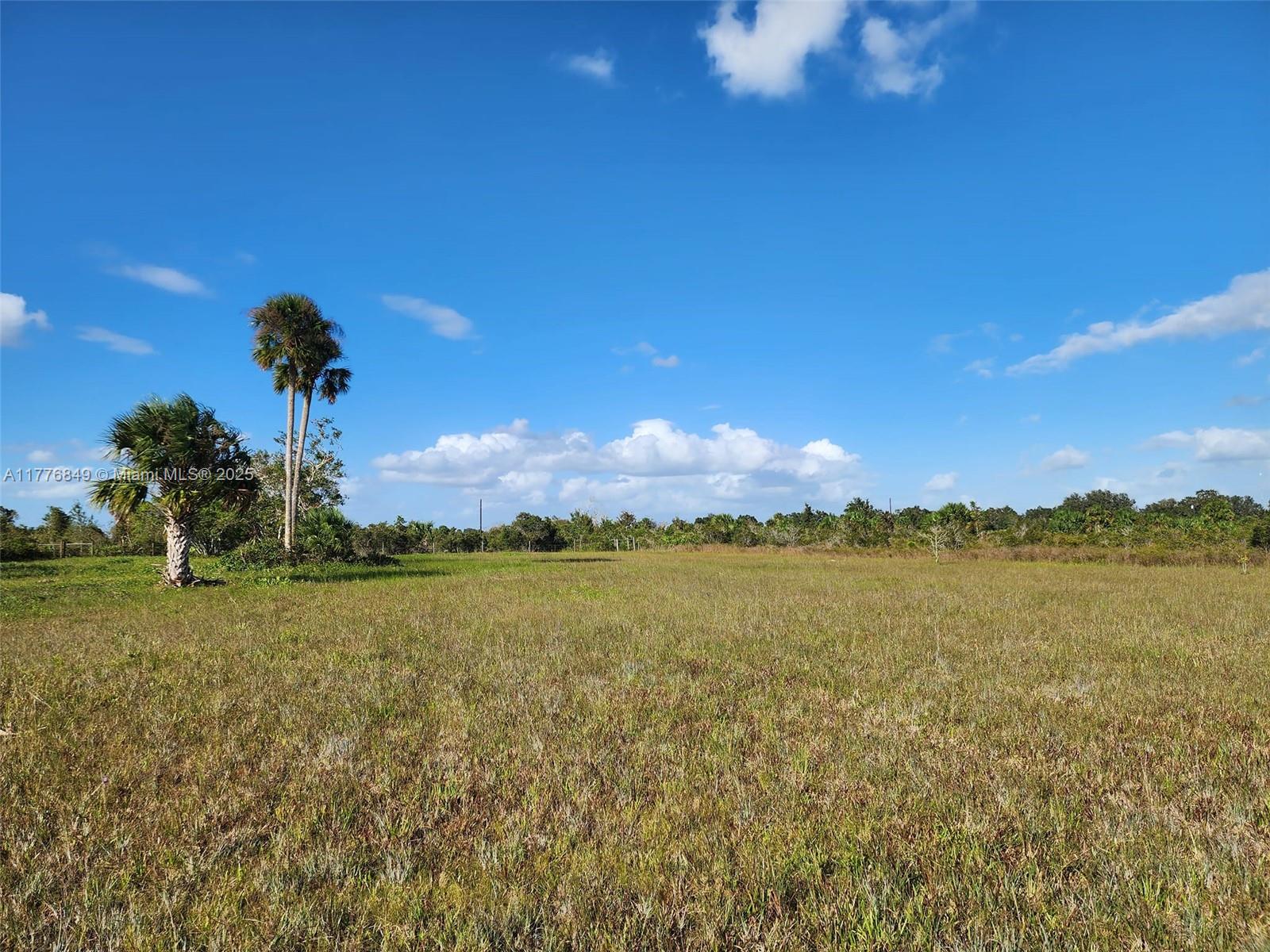 Discover your dream oasis on this serene 1.25-acre lot, ready for your perfect home in the peaceful Kissimmee Prairie neighborhood! With a culverted entrance and beautifully maintained grass. Enjoy easy access to the outdoors, just minutes from the breathtaking Kissimmee Prairie Preserve State Park, where you can hike, bike, horseback ride, and camp under the stars. Imagine a life where you can embrace the country lifestyle, bring your animals, and immerse yourself in nature’s wonders.. Escape the hustle and bustle of city life and create lasting memories in this enchanting natural haven, where adventure and tranquility await! CASH ONLY! NO SELLER FINANCING. SURVEY IS INCLUDED.