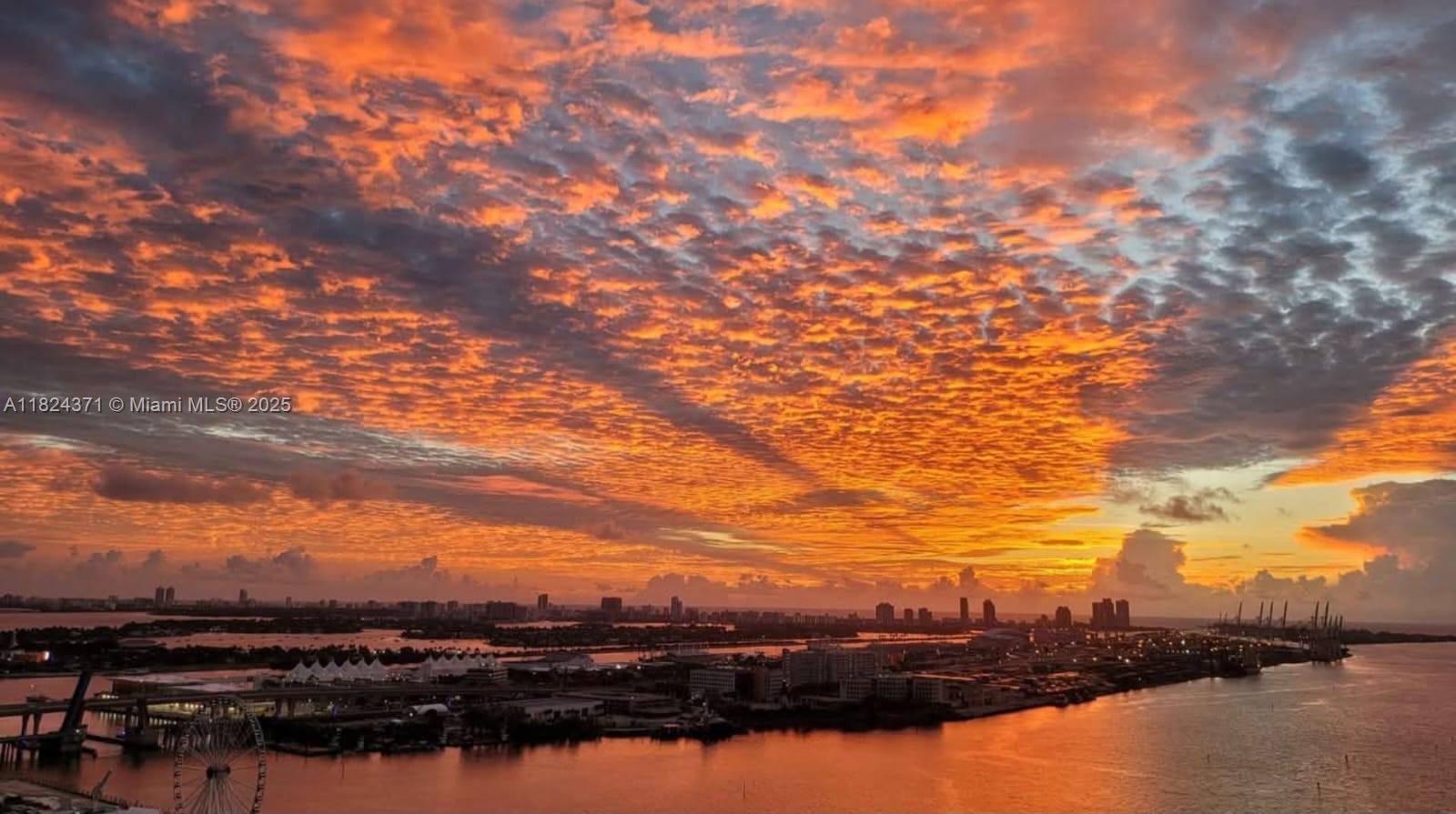 50 Biscayne Blvd 3006