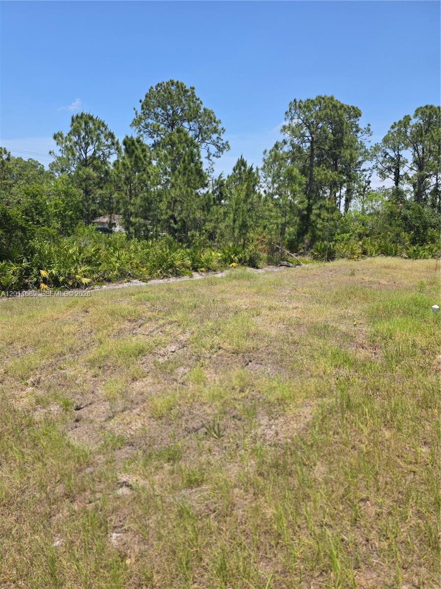 Lehigh Acres unit 3 - Residential Income