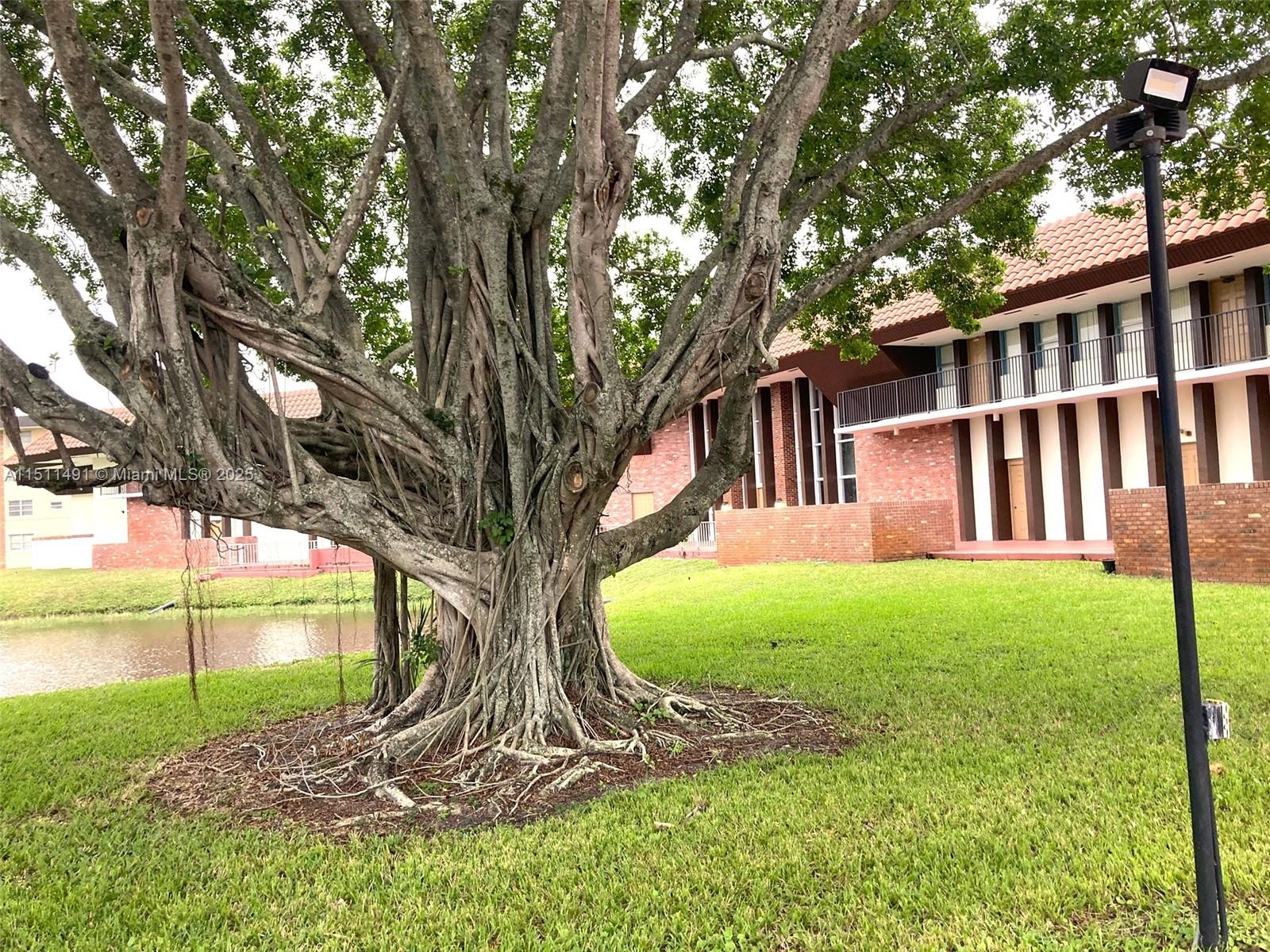 LAUDERDALE OAKS CONDO I - Residential