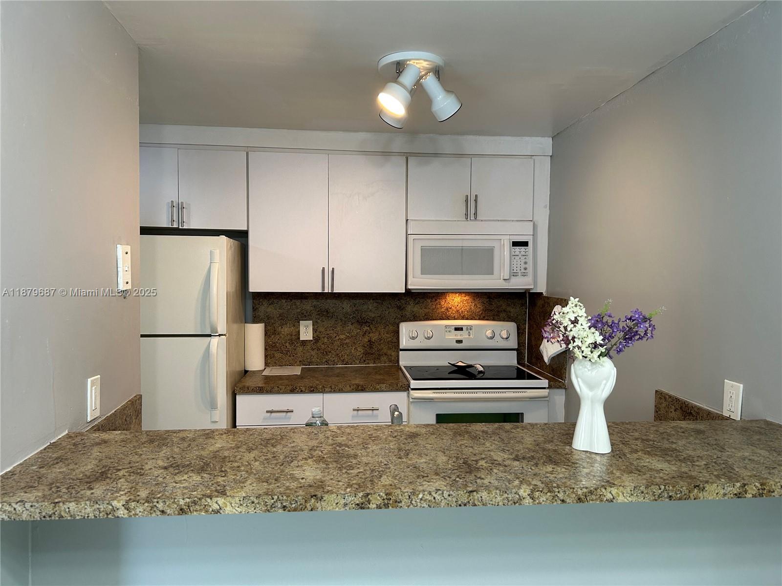 WINDWARD CONDO - Residential Lease