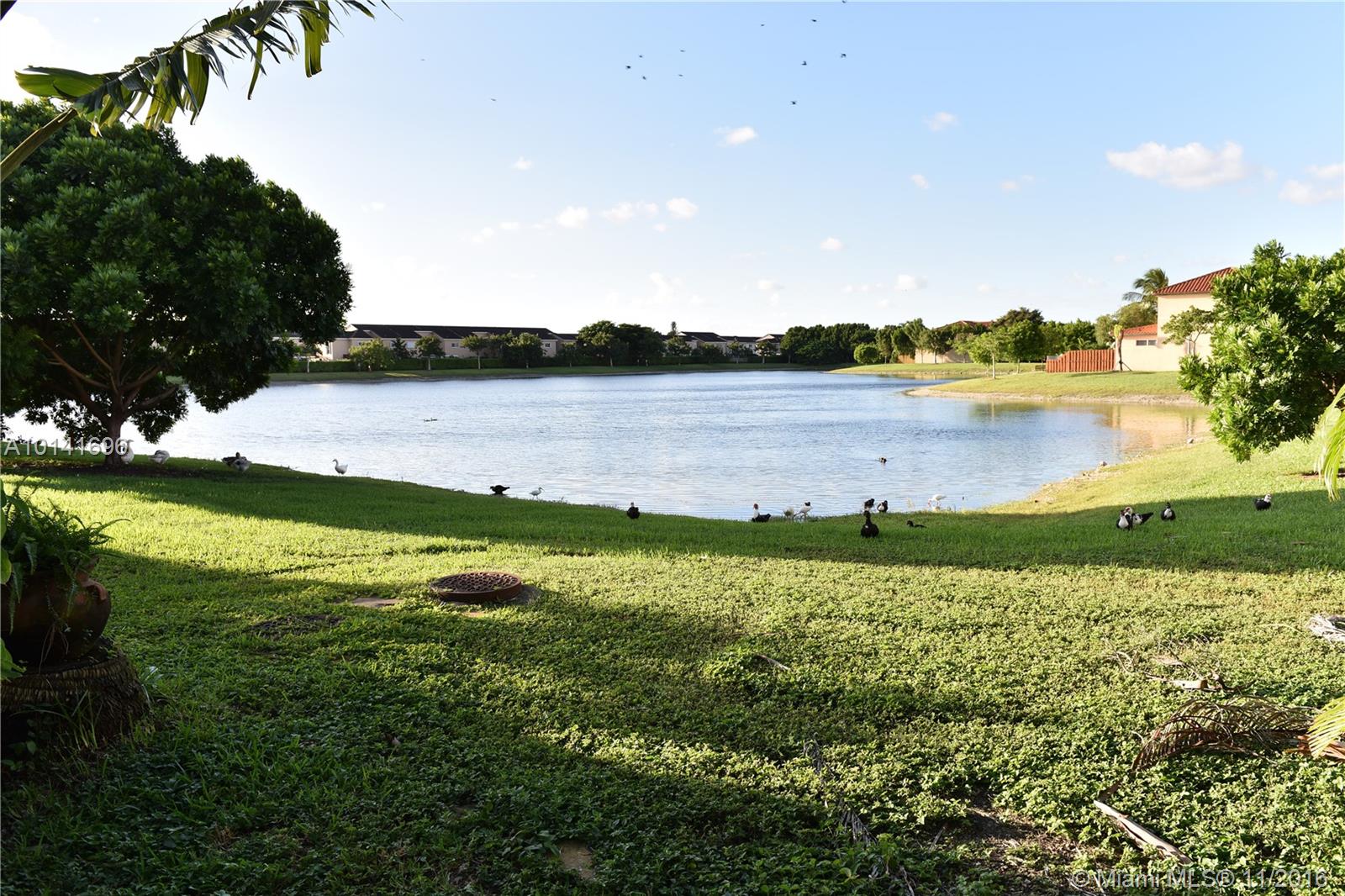 Llanos At Bird Road - Residential