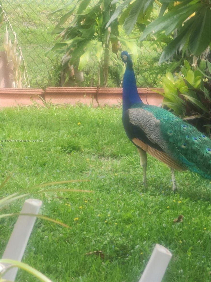 VACANT RESIDENTIAL  LAND IN A CLEARWATER ESTATES LOT IS 21,989 SQF
HOA IS ONLY $309.35 QUARTERLY