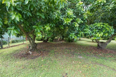Tiny photo for 15720 SW 258th St, Homestead, FL 33031 (MLS # A12066681)