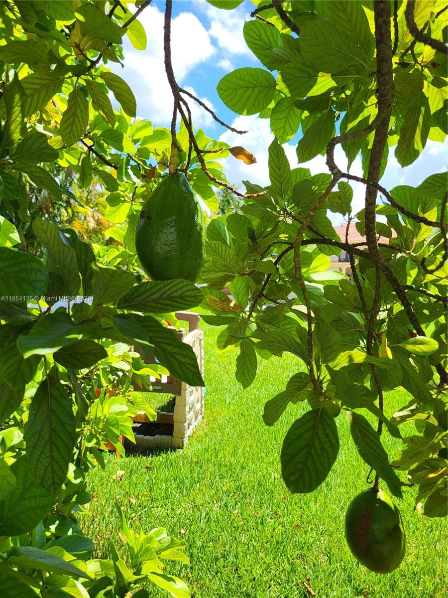 J G HEADS FARMS UNIT A - Residential