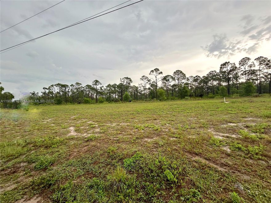 Build your dream home on this wonderful 0.28-acre residential lot located in the desirable area of Cape Coral! Surrounded by beautiful newer homes, this lot offers plenty of space for a pool and outdoor living. Conveniently located near shopping, schools, and parks. Don’t miss this opportunity to invest in one of Southwest Florida’s fastest-growing communities!