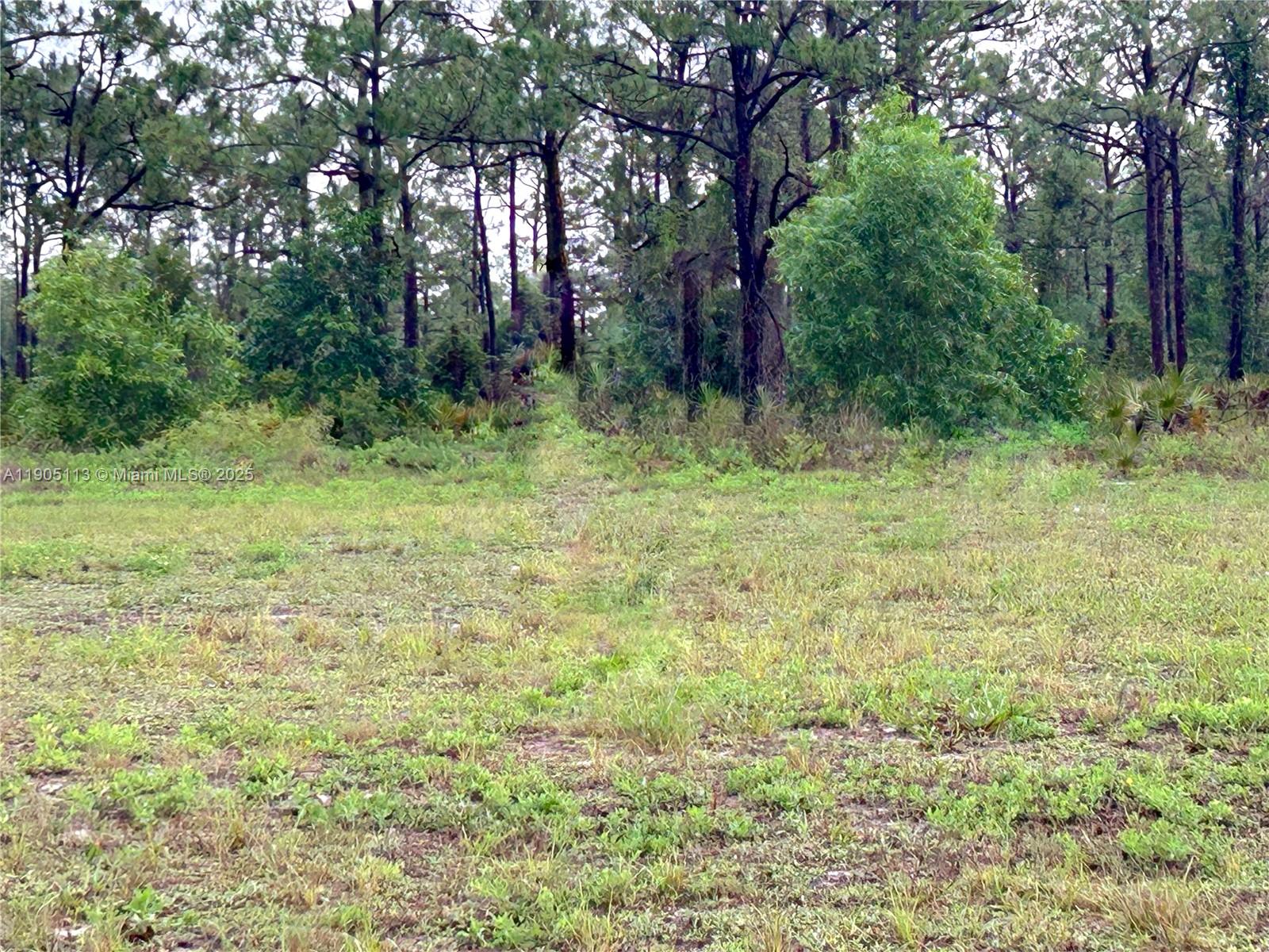 City of Cape Coral - Land