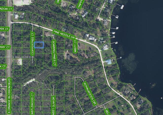 OWNER WILL FINANCE!!! 1,000 DOWN 305.68 PER MONTH FOR 36 MONTHS AT 7% INTEREST. Located just off Hwy 66 in the Orange Blossom community of Sebring here is one beautiful, private, quiet, peaceful, wooded area lot to build your DREAM HOME. Close to Lake Josephine which is ideal for watersports, including boating, fishing, and waterskiing. Power is three lots away. Lot Size 80 X 125. Get in early for this great investment! Perfect location for your DREAM HOME!
