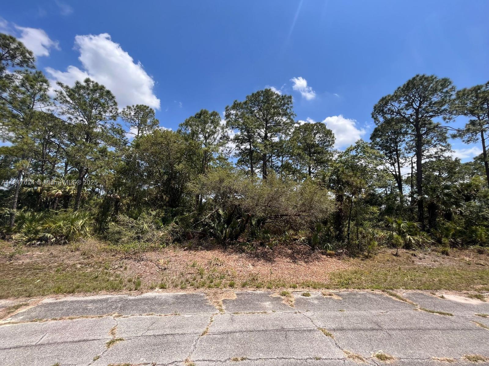 Build your dream home on this 0.3-acre wooded lot in the desirable Port LaBelle Unit 10. The property offers western exposure and is zoned residential. While there is no waterfront, this location offers a peaceful setting with partial tree coverage. Property has been recorded as a plat. Verify all utilities with Hendry County.