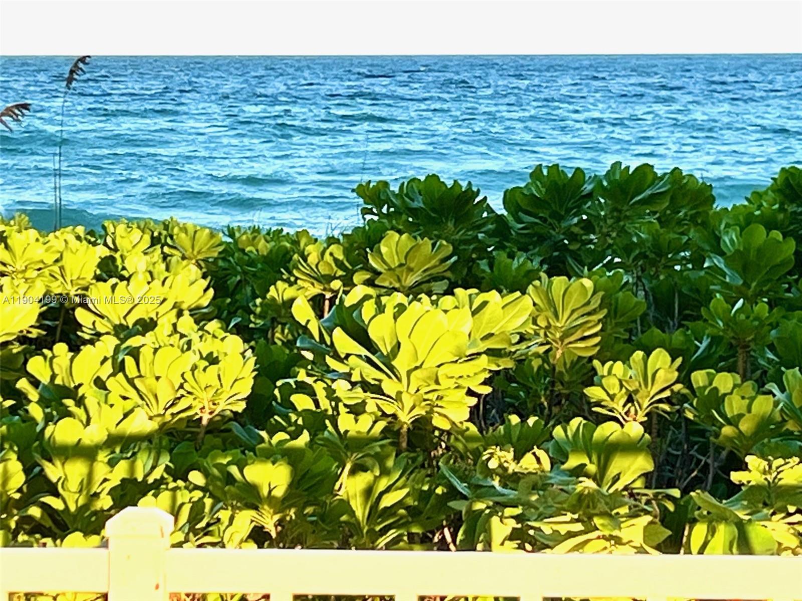 TAROMINA APTS CO-OP - Residential