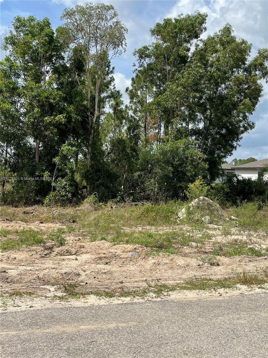 Welcome to the Sunshine State and your opportunity to own a piece of paradise in the heart of Fort Myers, Florida!
This prime 11,238 square-foot residential lot is a blank canvas ready for you to create the home of your dreams.
With this vacant lot, you have the creative freedom to design your dream home from the ground up, ensuring it
perfectly suits your lifestyle and preferences.Fort Myers has seen a growing demand for residential properties,
making this an excellent investment opportunity. Whether you're planning to build your forever home or looking
for a lucrative investment, this lot offers it all. As you drive by the area you will notice all the new construction finished and being developed.