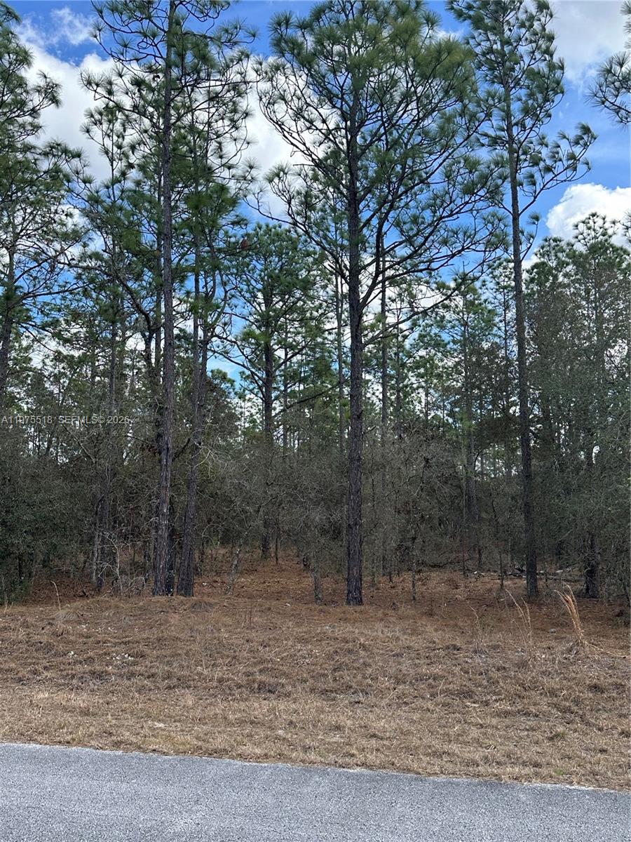 RAINBOW LAKES ESTATES - Land