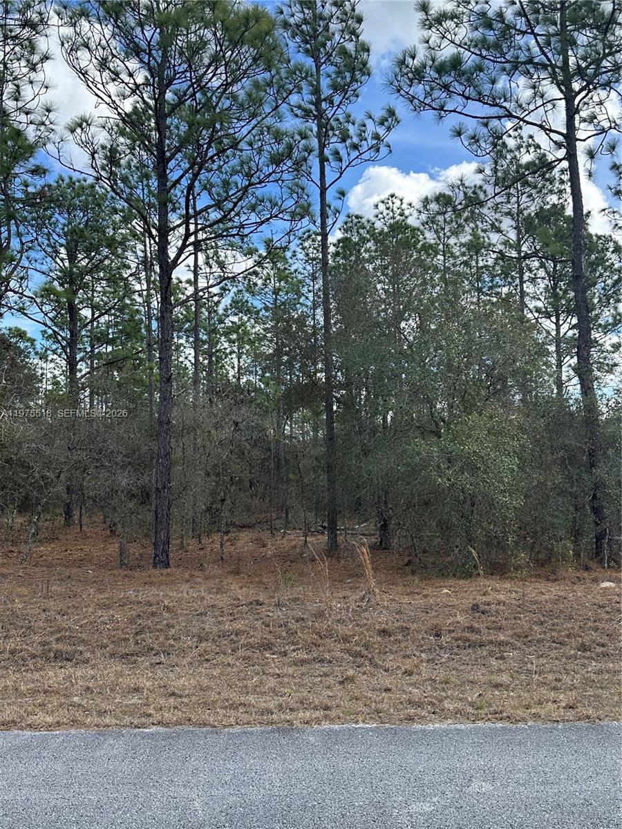 RAINBOW LAKES ESTATES - Land