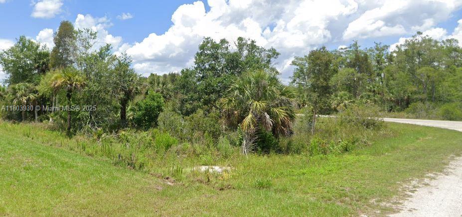 LEHIGH ACRES - Land