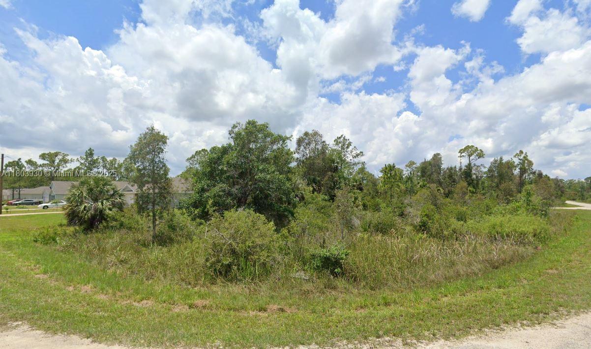 LEHIGH ACRES - Land