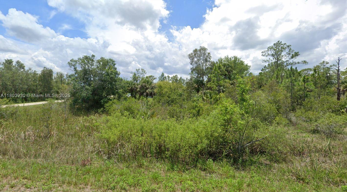 LEHIGH ACRES - Land