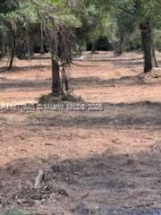 Golden Gate Estates - Land