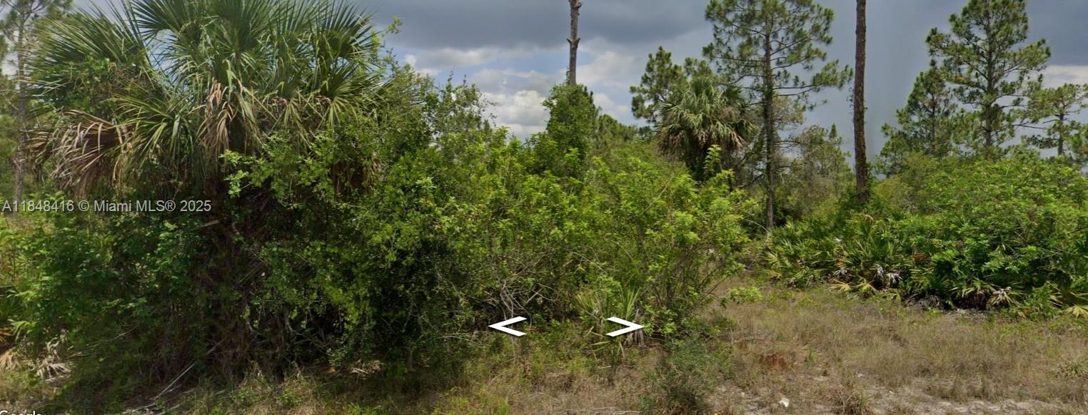 Build your dream home on this beautiful 0.5-acre lot in a peaceful and fast-growing area of Florida. Surrounded by mature pine and palm trees, this property offers natural beauty and privacy while being close to schools, shopping, and major roads. With 147.5 ft frontage and depth, it’s perfect for a spacious home, vacation retreat, or investment. No HOA and plenty of room for a pool, garden, or workshop. No wetlands reported and not in a flood zone (buyer to verify). Don’t miss this opportunity to own land in a thriving market with great potential and flexibility.
