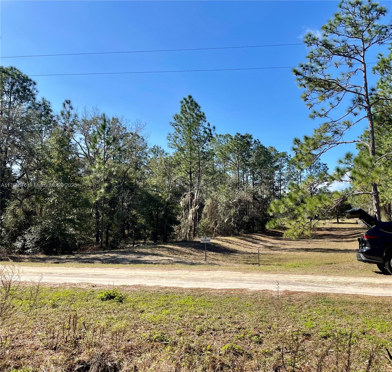 Rolling Hills - Land