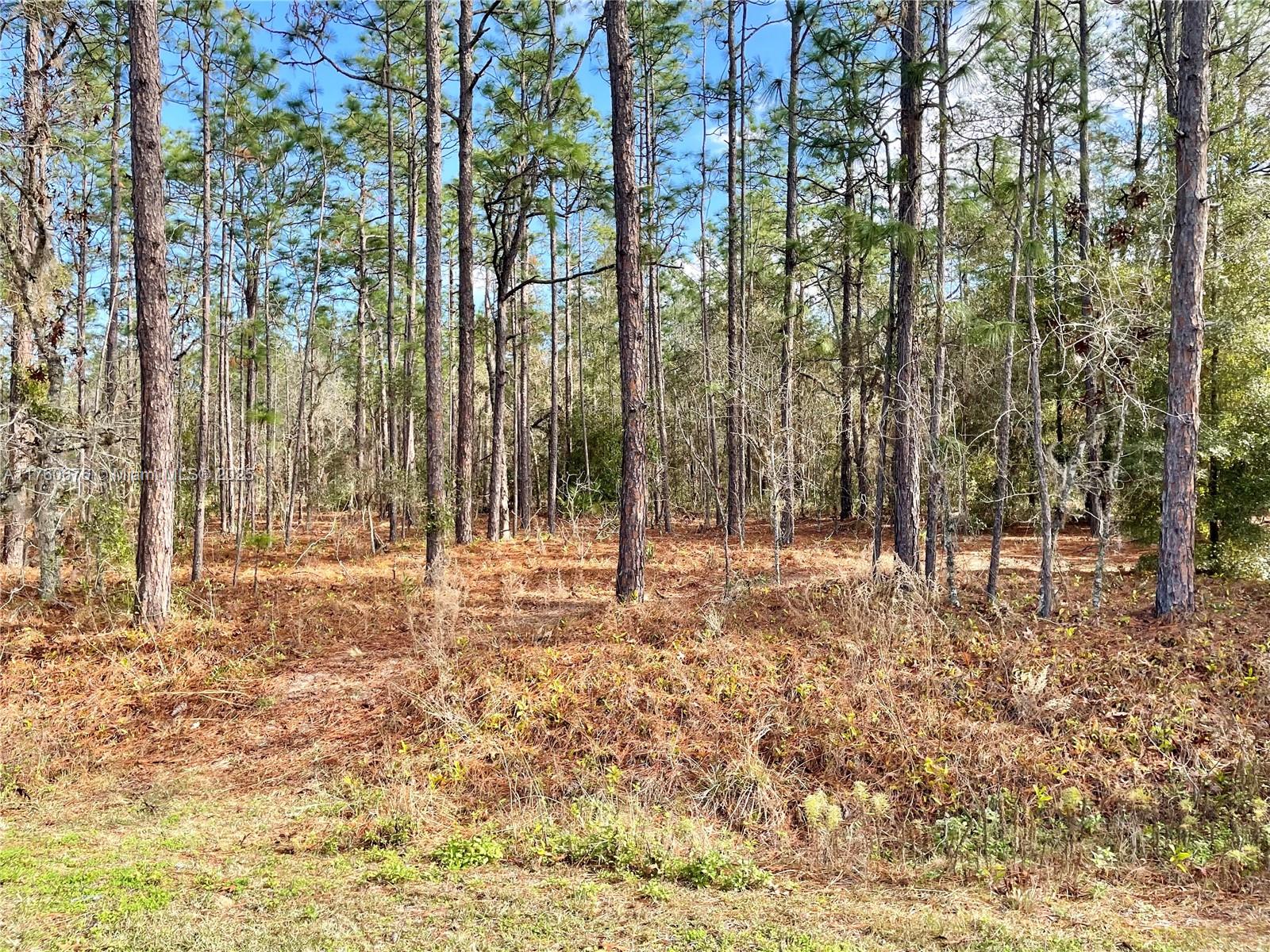 Rolling Hills - Land