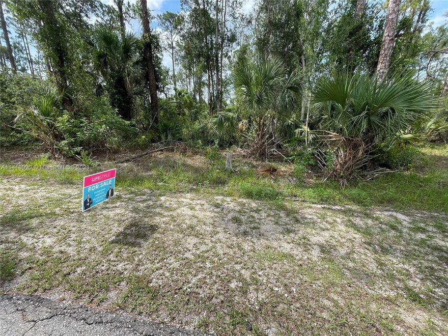 Build your dream home in this beautiful neighborhood. Only 10 mins to the grocery store and restaurants. Lot is buildable 1/4 acre.