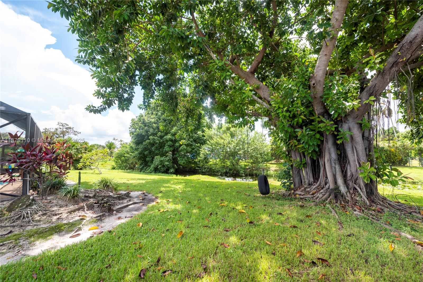 CHEVY CHASE AMD PLAT - Residential