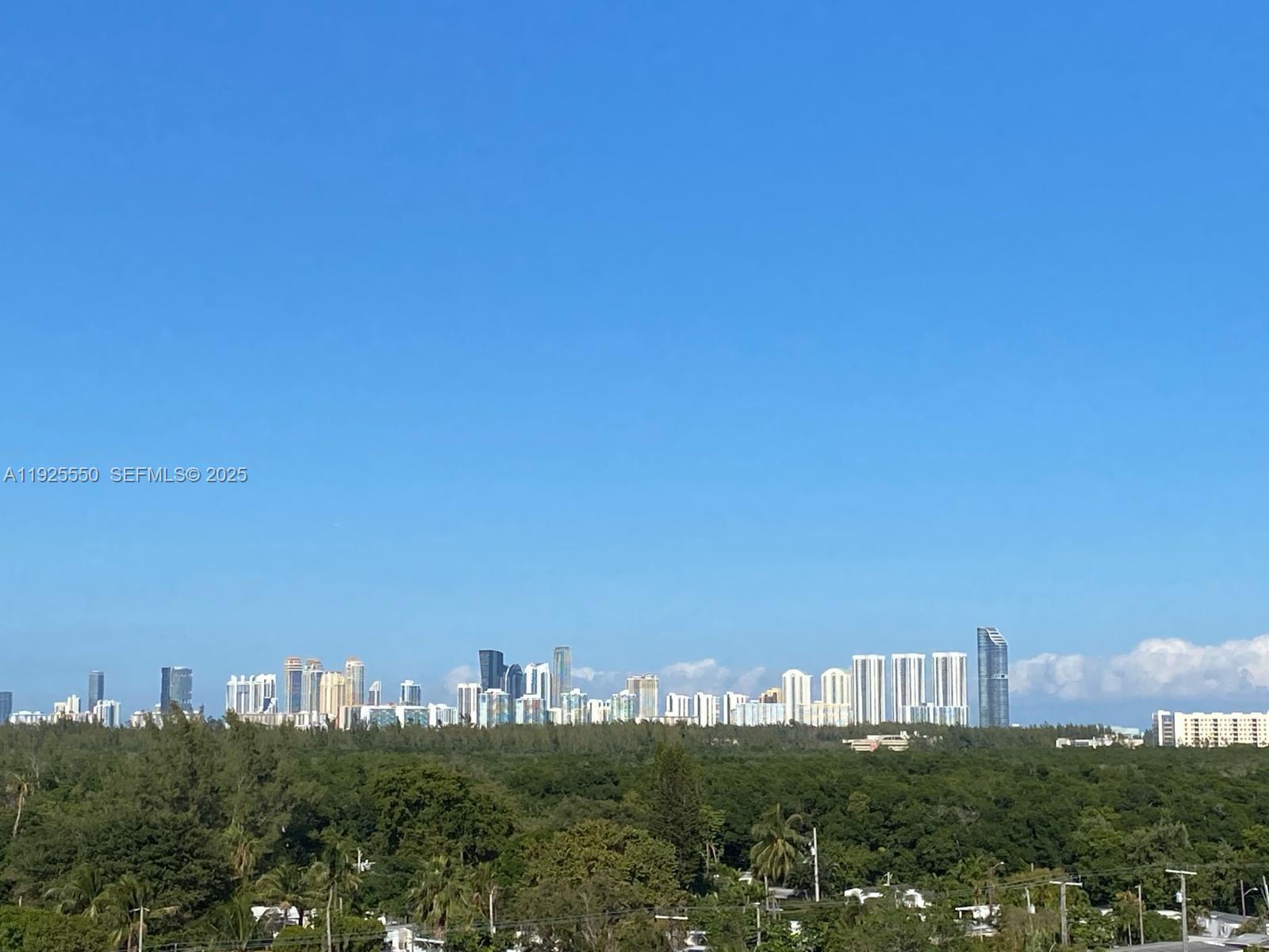 VECINO DEL MAR CONDO - Residential Lease