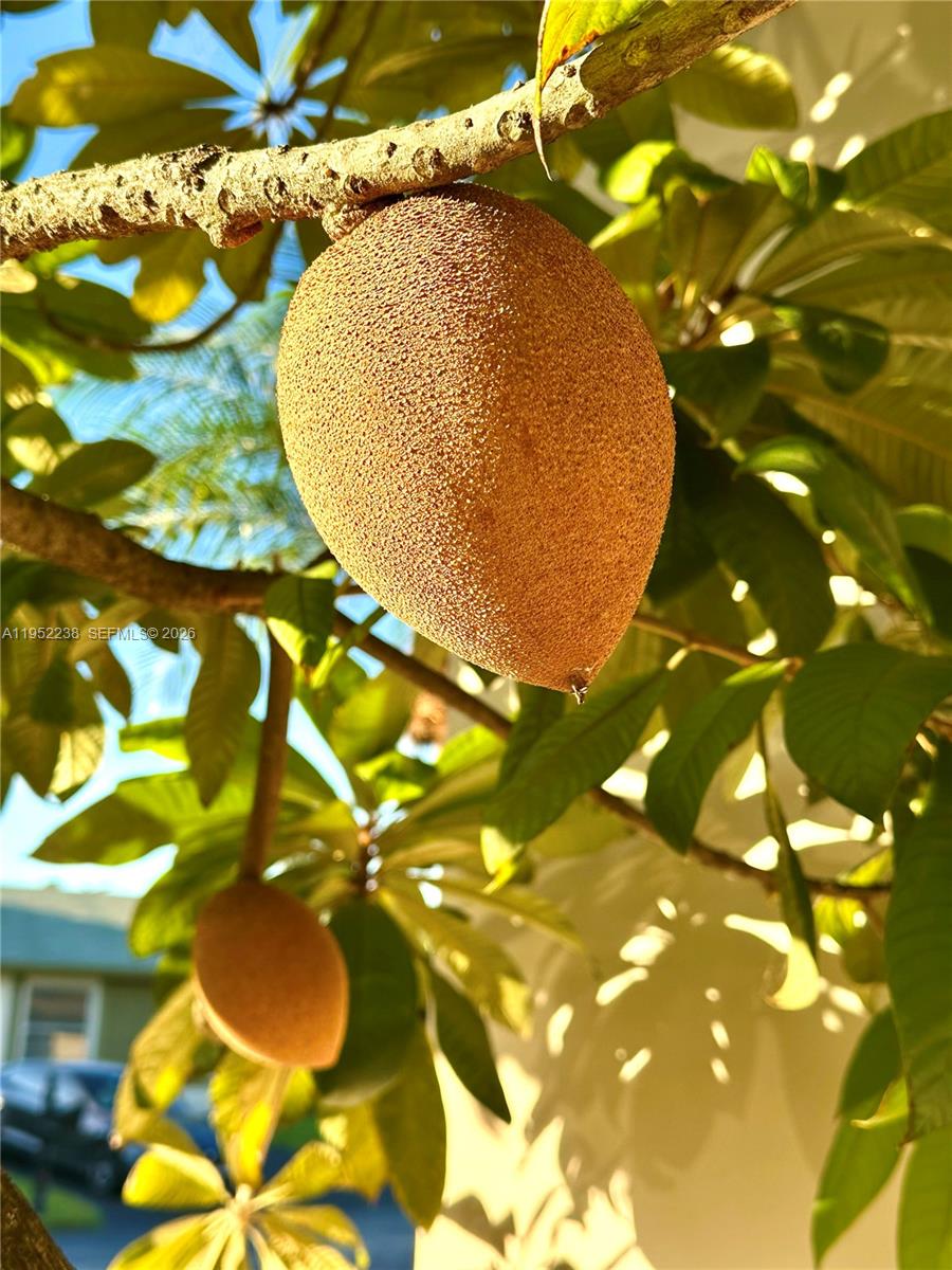 DEVON-AIRE VILLAS SEC 2 - Residential