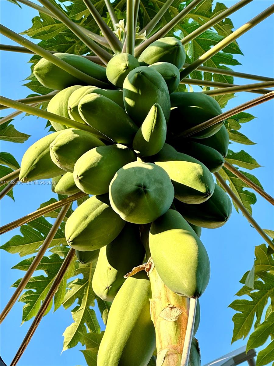 DEVON-AIRE VILLAS SEC 2 - Residential