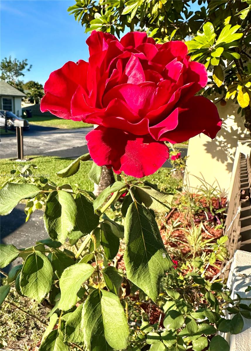 DEVON-AIRE VILLAS SEC 2 - Residential