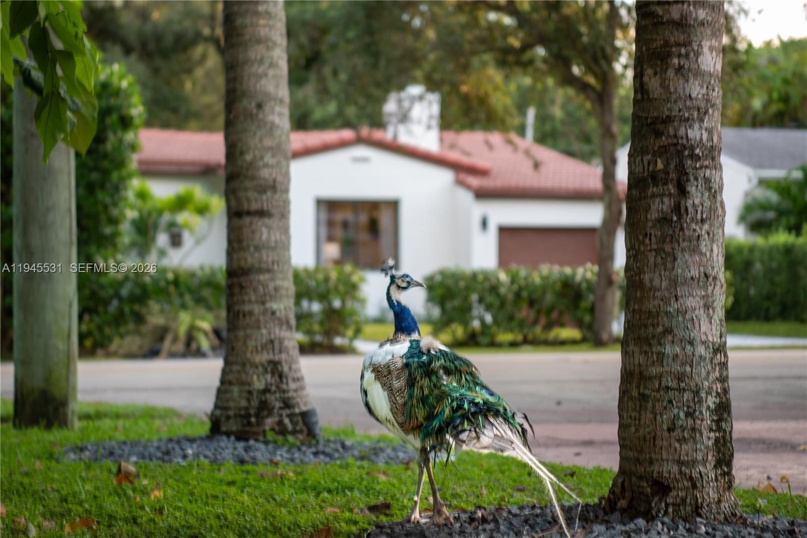 SHERWOOD FOREST - Residential