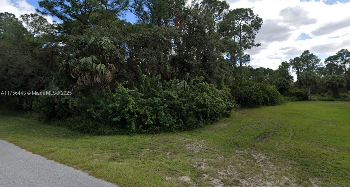 Quarter acre home site, mostly cleared. Located in a great area of Lehigh Acres. Build your dream home here, or buy and hold as an investment. Make your offer today!