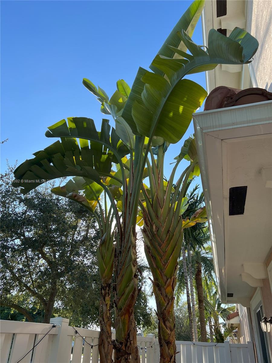 Santa Barbara Villas - Residential