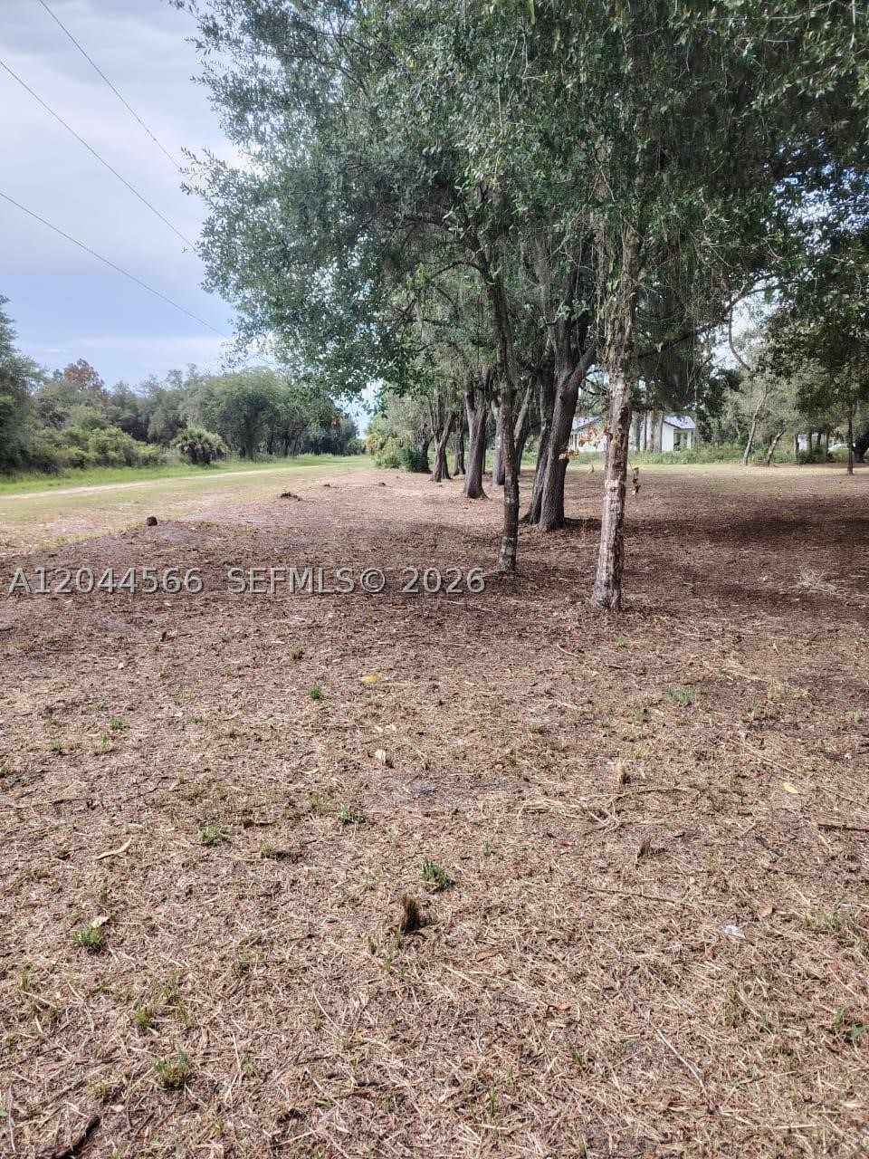 175 Avenida del Club
