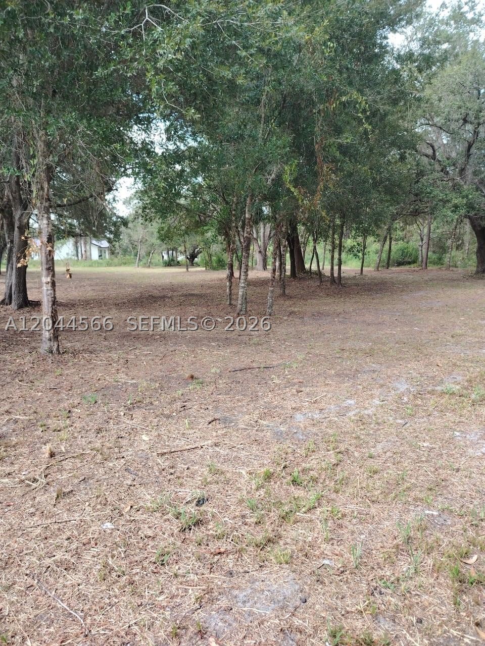 175 Avenida del Club