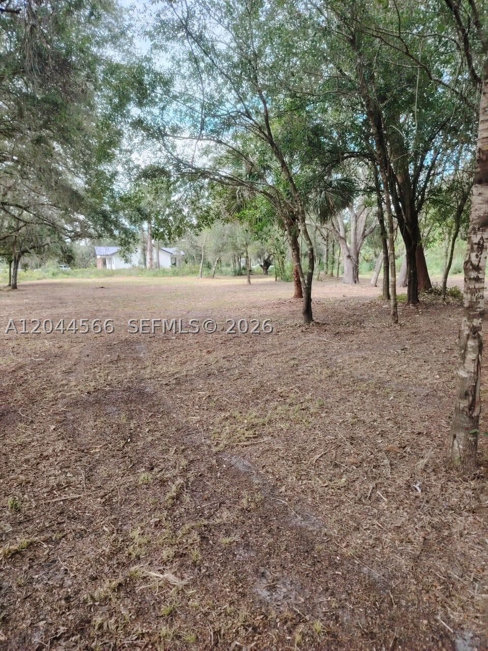 175 Avenida del Club