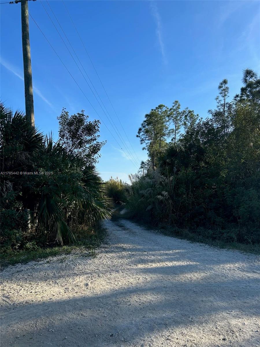 Golden Gate Estates - Land