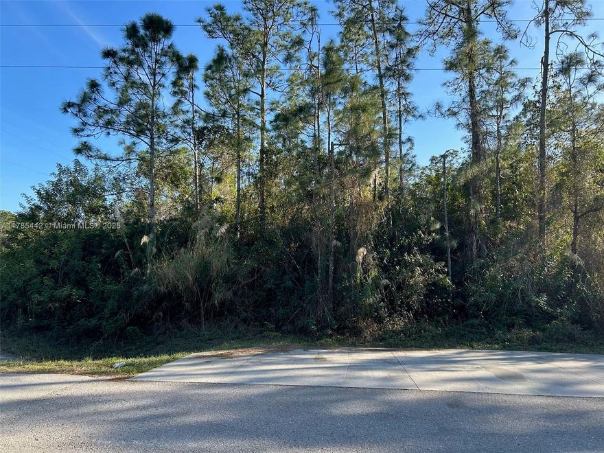 Goldgate Estate of Naples!prime vacant lot exceptional opportunity to build your custom residence in a thriving community  next to a serene canal.