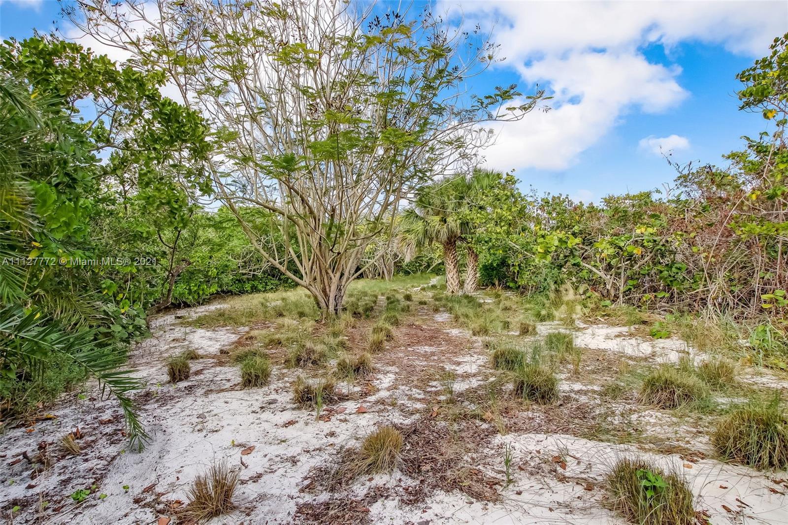 HANSON GRANT LOT 01 (SEWA - Land