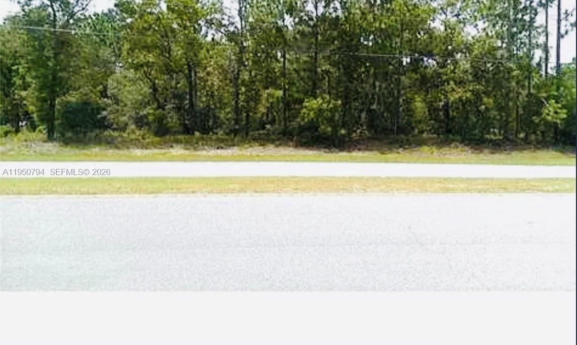 CITRUS SPRINGS - Land