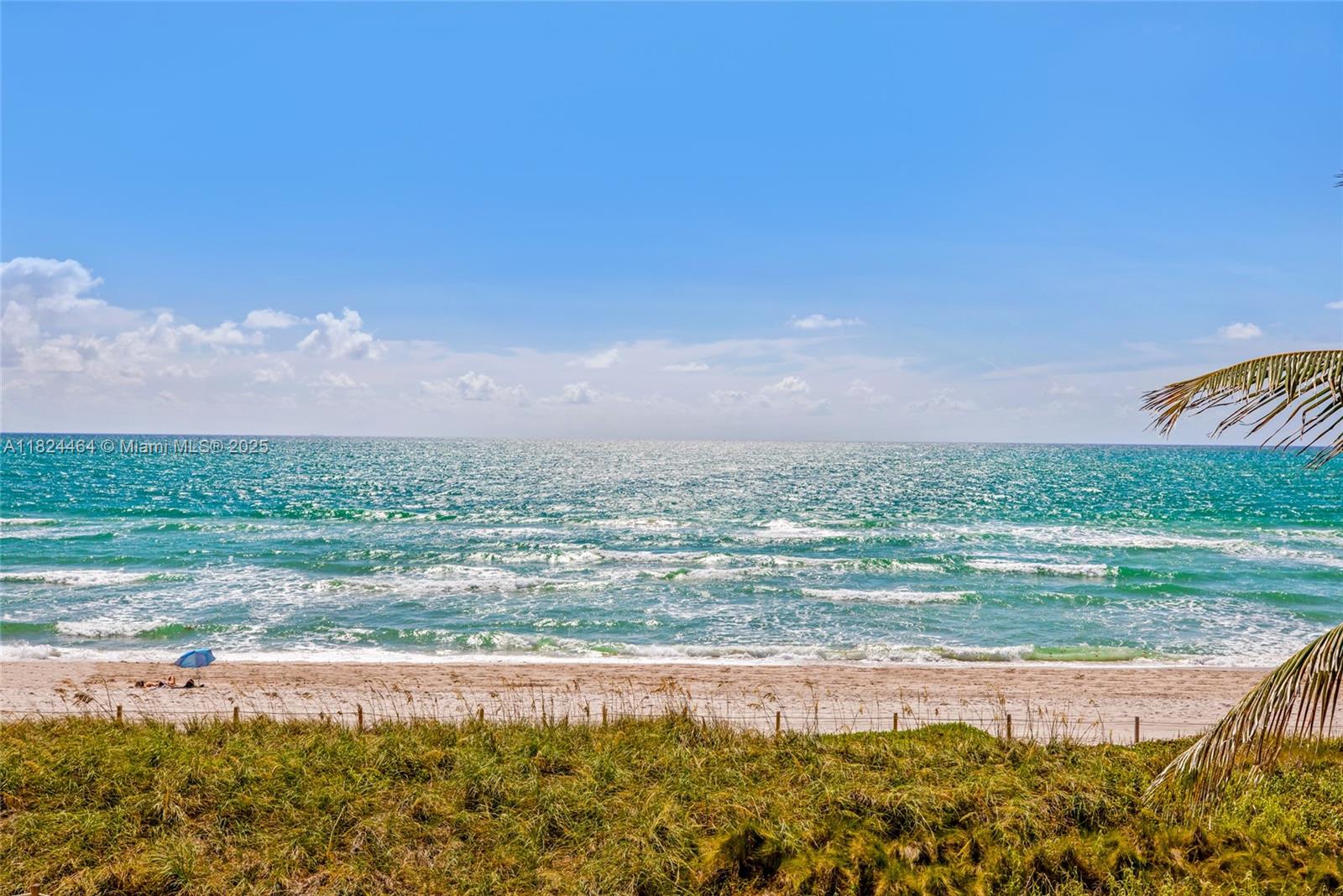 5401 Collins Ave 419