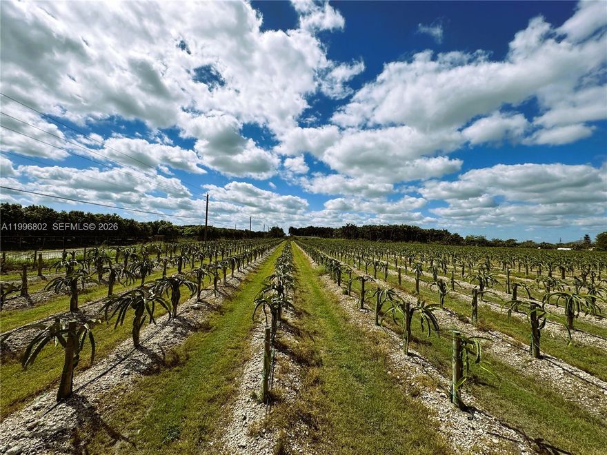 10 ACRE CORNER LOT - Exceptional Opportunity!!
Positioned at the highly desirable intersection of SW 197th Ave and SW 152nd St, this expansive 10-acre property offers outstanding potential for agricultural use, development, or long-term investment. Located in the heart of the renowned Redland district, the land is equipped with well water irrigation, making it ideally suited for a wide range of farming operations.
With dual road frontage and generous open space, the property provides excellent accessibility, flexibility, and visibility; key elements for both current use and future value. Whether you are looking to establish, expand, or invest, this is a rare opportunity to secure a premium parcel in one of South Florida’s most sought-after agricultural areas.
Buyers are responsible to conduct their own due diligence regarding zoning, land use, and development possibilities.