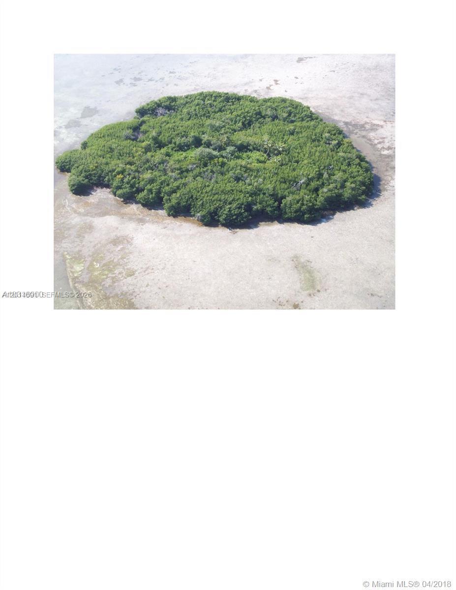 Big Pine Key Inc (31.0) - Land