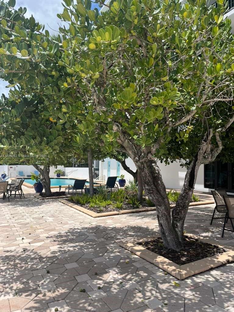 THE BELMONT CONDO - Residential Lease