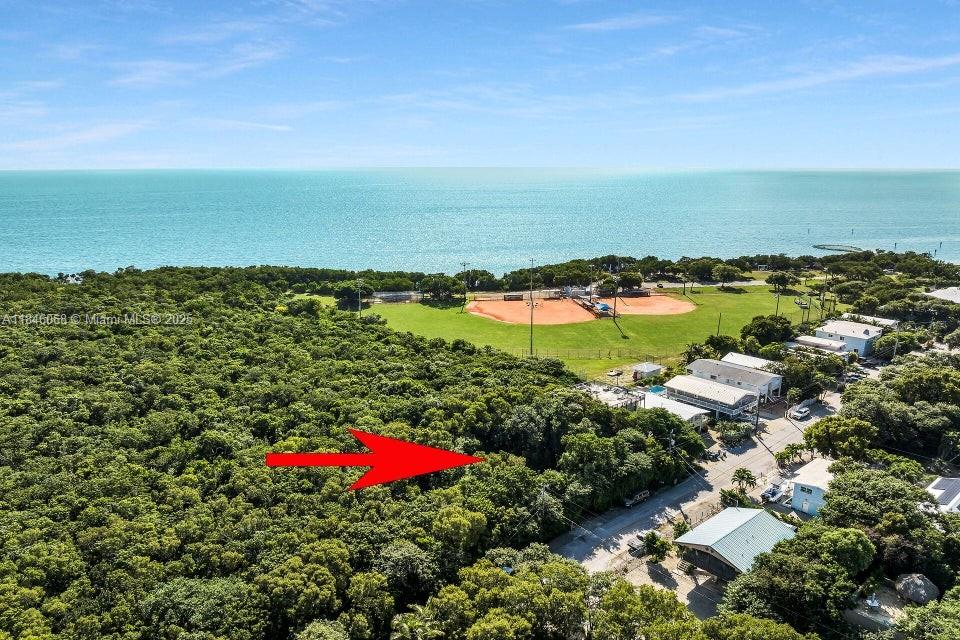 VACANT LOT with ACTIVE PERMIT! Build your Keys Bunker. The plans for this solid home include a concrete block structure on concrete pilings with concrete roof on a 5500 sf lot. 3 bedrooms- 2 baths. It is surrounded by protected hammock that provides privacy and protection. Oceanfront Harry Harris Park in Tavernier is just down the street. The park has a community boat ramp for boating access, beach, playground, picnic area, basketball court and softball fields for Fun in the Florida Keys Sun! 5500 sf lot next door available for purchase too.