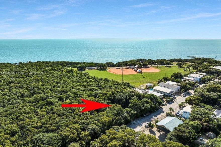 ACTIVE PERMIT! Construction is in progress on this OCEANSIDE upper keys on this 3/2 single-family home with a large balcony overlooking the ocean. The plans for this home include an elevated concrete block structure with pilings ALREADY in place; building plans can be modified. It is surrounded by a protected hardwood hammock that provides privacy for this property. Oceanfront Harry Harris Park is right down the street. The park has a community boat ramp for ocean access, beach, playground, basketball court, and softball fields for Fun in the Sun. The vacant lot adjacent to this listing is also available. MLS#615808. All offers considered. Please contact the listing agent.