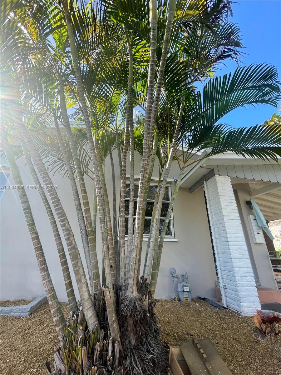 PROGRESSO - Residential Lease