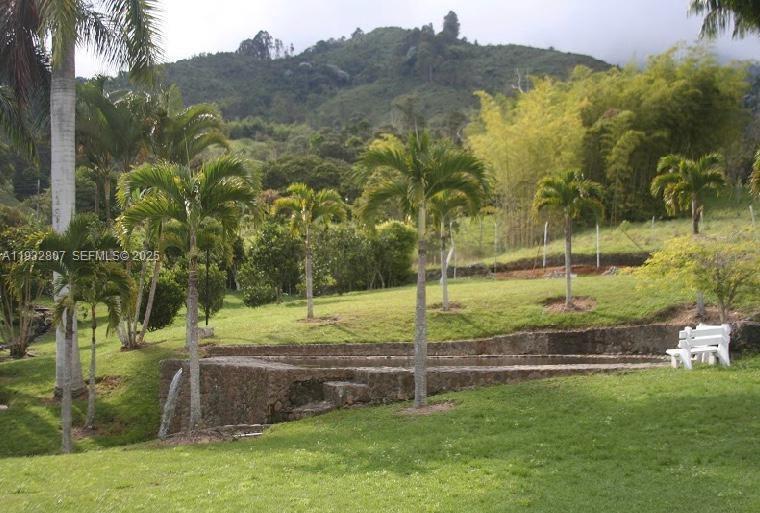 BUGA CALIMA - DARIEN 0000000