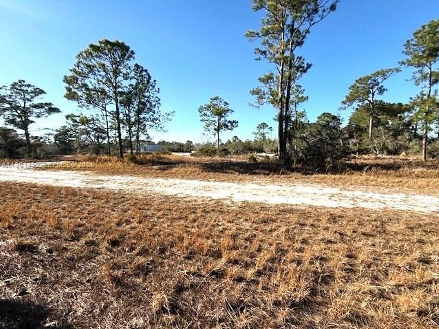 Residential Lot For Sale – 547 Branchwood Dr, Lake Placid, FL 33852
.23 Acres, electricity Nearby, Lots of lot clearance with white sand, Homes Already Built in the Area
Discover the perfect opportunity to build your Florida dream home in the peaceful and growing community of Lake Placid. This .23-acre residential lot sits on a quiet street with established homes nearby, offering the ideal blend of privacy and neighborhood stability. High and dry location with excellent future development potential, No HOA, Minutes from Lake Istokpoga, local parks, shopping, and dining, Easy access to US-27 for commuting to Sebring, Avon Park, or beyond.
Your Florida Lifestyle Awaits - Enjoy boating, fishing, and the laid-back charm of Lake Placid known as the “Town of Murals” and home to dozens of freshwater lakes.