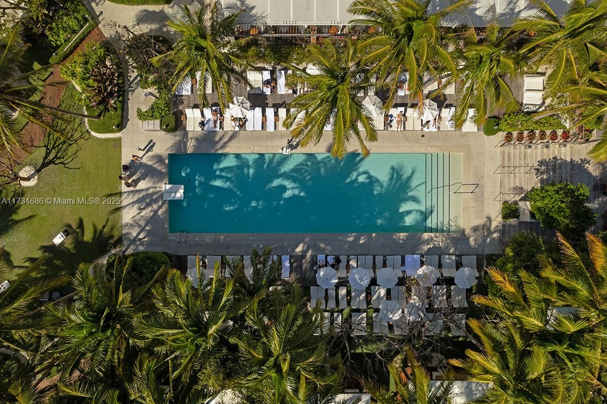 THE EDITION RESIDENCES - Residential